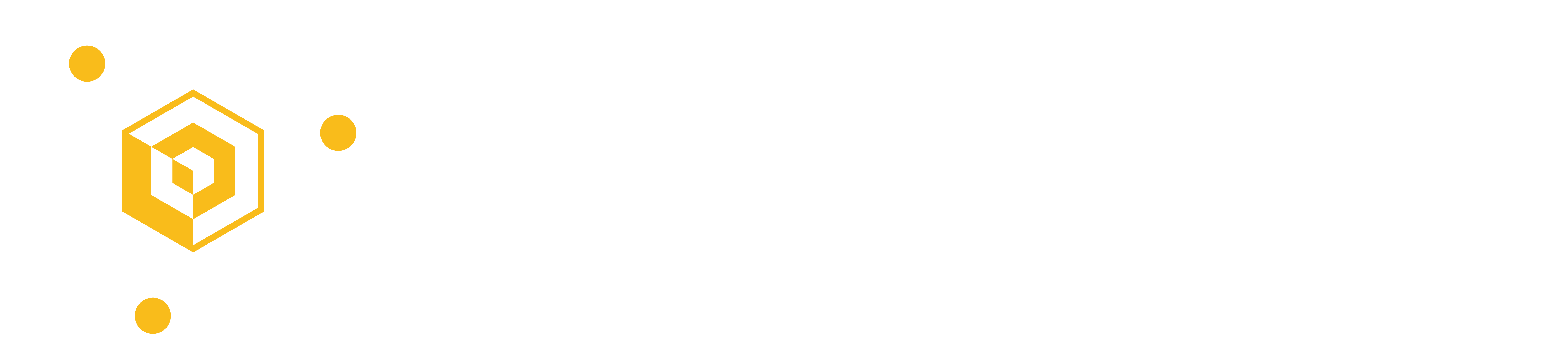 Synergy Safety Group